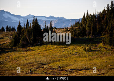 Ein männliche Mountainbiker fährt den flowy, hohen alpine Frisby Ridge Trail. Revelstoke, BC Stockfoto