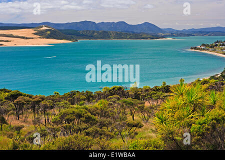 Hokianga Harbour Arai Te Uru Erholung Reserve Küstenweg in der Nähe der Stadt Omapere Northland Nordinsel Neuseelands. Stockfoto