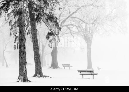 Eisnebel, Assiniboine Park, Winnipeg, Manitoba, Kanada Stockfoto