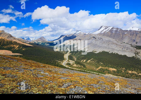 Icefields Parkway durch Sunwapta Pass, gesehen von Parker Ridge, Banff Nationalpark, Alberta, Kanada Stockfoto