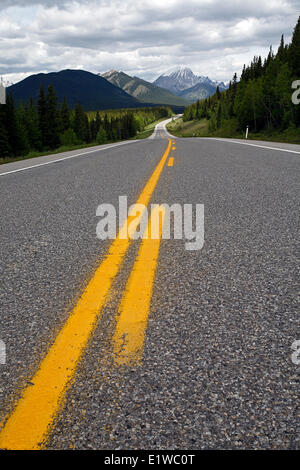 Autobahn 40 (Kanaskies Weg) Kanaskies, Alberta, Kanada. Stockfoto