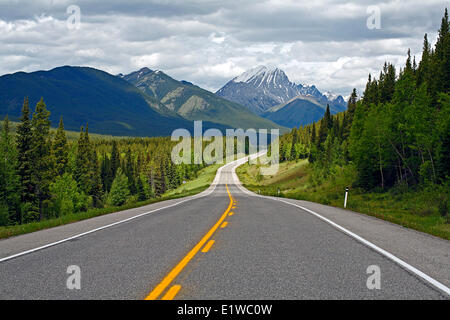 Autobahn 40 (Kanaskies Weg) Kanaskies, Alberta, Kanada. Stockfoto