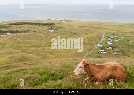 Blick von Big Hill auf Eintrag Insel auf den Magdalen Inseln, Quebec. © Allen McEachern. Stockfoto