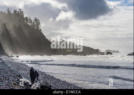 Trübe Oregon Küste bei Cannon Beach, Oregon, Vereinigte Staaten von Amerika Stockfoto