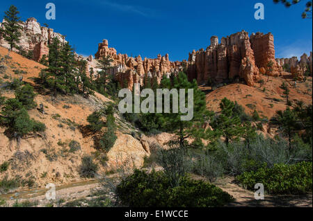 Mossy Cave Trail in Bryce-Canyon-Nationalpark, Utah, Vereinigte Staaten von Amerika Stockfoto