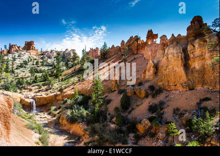 Mossy Cave Trail in Bryce-Canyon-Nationalpark, Utah, Vereinigte Staaten von Amerika Stockfoto