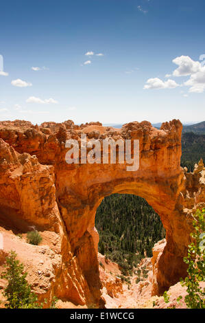 Natural Bridge, eine natürlichen Bögen im Bryce-Canyon-Nationalpark, Utah, Vereinigte Staaten von Amerika Stockfoto