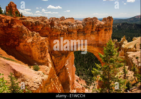 Natural Bridge, eine natürlichen Bögen im Bryce-Canyon-Nationalpark, Utah, Vereinigte Staaten von Amerika Stockfoto