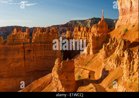 Navajo Trail in Bryce-Canyon-Nationalpark, Utah, Vereinigte Staaten von Amerika Stockfoto