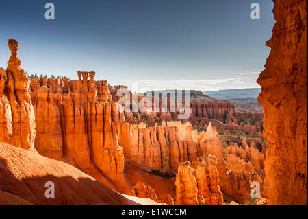 Hoodoos im Bryce-Canyon-Nationalpark, Utah, Vereinigte Staaten von Amerika Stockfoto