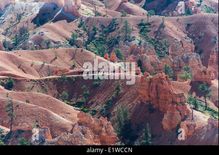 Pferdetrekking in Bryce Amphitheater in Utah Bryce Canyon National Park, Vereinigte Staaten von Amerika Stockfoto