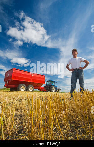 ein Bauer stehen in Hafer Stoppeln vor einem Traktor und Getreide Wagen während der Ernte, in der Nähe von Dugald, Manitoba, Kanada Stockfoto