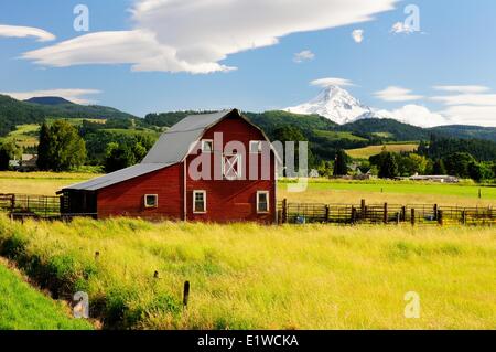 Eine alte Scheune in der Nähe von Mt. Hood in der Nähe von Hood River, Oregon. Stockfoto