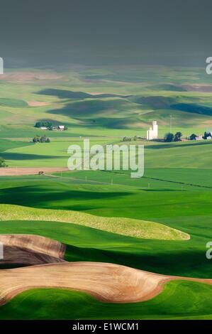 Einem Silo, Bauernhöfe und hügelige Ackerland in der Palouse Region im US-Bundesstaat Washington, USA. Stockfoto