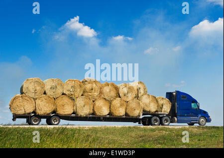 ein LKW beladen mit Runde Heuballen auf einem Land Straße, Manitoba, Kanada Stockfoto