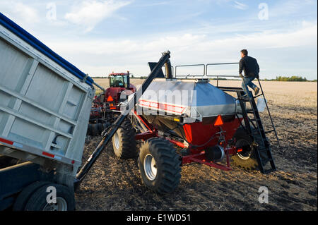 Jungbauer laden einen seeding Tank mit Winter-Weizen-Saatgut und Dünger, in der Nähe von Lorette, Manitoba, Kanada Stockfoto
