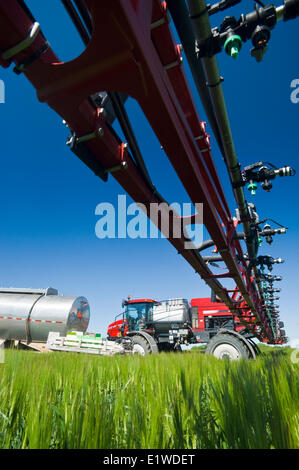 Nahaufnahme von hoher Bodenfreiheit Sprüher Boom verwendete Gerste Spray mit Fungizid, in der Nähe von Lorette, Manitoba, Kanada Stockfoto