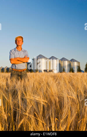 ein Mann in einer reifenden Gerstenfeld mit Getreidesilos im Hintergrund, in der Nähe von Lorette, Manitoba, Kanada Stockfoto