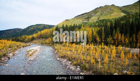 Tetsa Flusstal mit Herbst Farben Balsam-Pappel Populus Balsamifera Espe Populus Tremuloides Osten Summitt See Highway # 97 Stockfoto