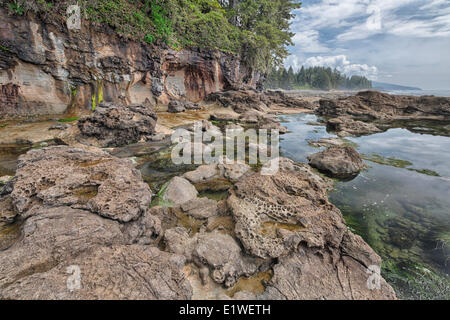 Gezeiten-Pools und das Meer geschnitzt Küstenlinie am Botanical Beach Provincial Park, Vancouver Island, Britisch-Kolumbien. Stockfoto