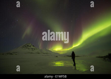 Aurora Borealis oder Nordlichter tanzen über den dunklen Nachthimmel steht Dempster Highway, Yukon, während ein Mensch auf einem gefrorenen ri Stockfoto