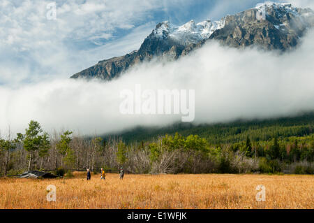 Wanderer in einem Feld unterhalb des schneebedeckten Niut Bereichs, Tatla Valley, Britisch-Kolumbien Stockfoto