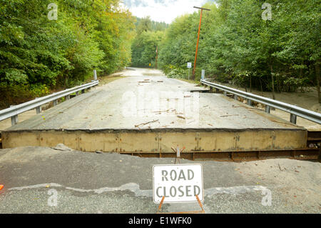 Die 2010 Rekord hohen historischen Flut in Bella Coola Valley, British Columbia Stockfoto