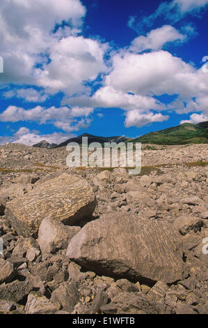 Frank Slide National Historic Site, Crowsnest Pass, Alberta, Kanada Stockfoto