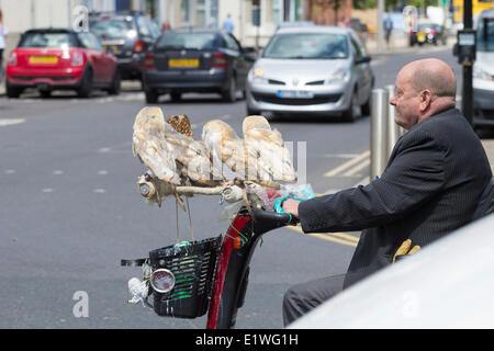 Rentner John Miller nimmt seine vier Schleiereulen und ein Waldkauz für eine Spritztour auf seine Mobilität Roller. Middlesbrough, England, Vereinigtes Königreich Stockfoto