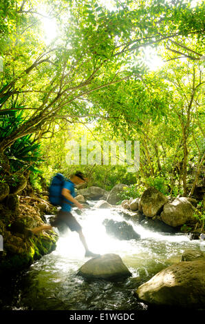 Eine männliche Wanderer auf dem Kalalau Trail Kaua ' i; Überquerung des großen Baches, die läuft aus dem Kalalau Valley kurz vor dem Campingplatz Stockfoto