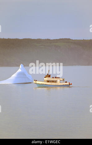 Whale watching Tourenboot und Eisberg, Witless Bay Ecological Reserve, Neufundland, Kanada, Stockfoto