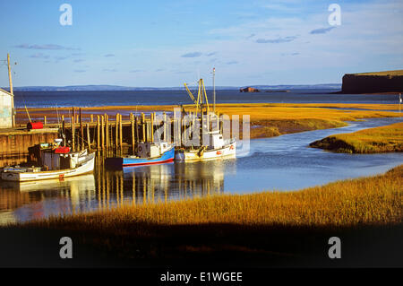 Angelboote/Fischerboote am Pereau Wharf, Bay Of Fundy, Nova Scotia, Kanada Stockfoto