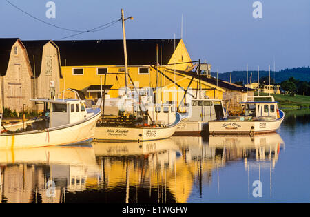 Angelboote/Fischerboote reflektiert im Hafen, French River, Prince Edward Island, Kanada Stockfoto