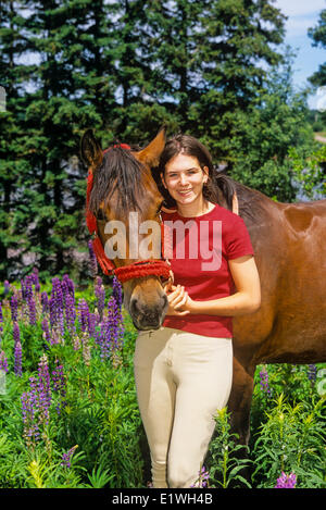 Junge Mädchen und Pferd in Lupine Feld, St. Catherines, Prince Edward Island, Kanada, Modell veröffentlicht Stockfoto