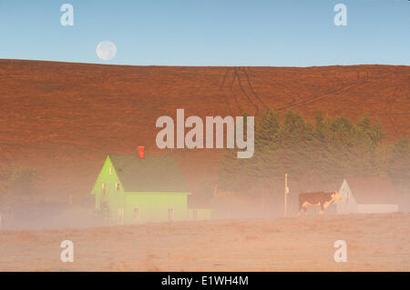 Moon Rising Hof im Nebel, langer Fluss, Prince Edward Island, Canada Stockfoto