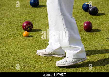 Ein Bowler beobachtet die "Jack" während eines Spiels der Lawn Bowls auf ein Bowling Green im Vereinigten Königreich in der Sonne. Stockfoto