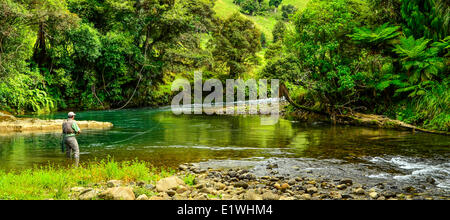 Awakino River Nordinsel Neuseeland Stockfoto