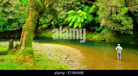 Awakino River Nordinsel Neuseeland Forellen Angler Stockfoto