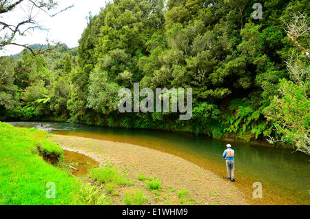 Awakino River Nordinsel Neuseeland Forellen Angler Stockfoto