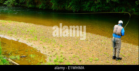 Awakino River Nordinsel Neuseeland Forellen Angler Stockfoto