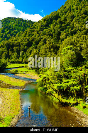 Awakino River Nordinsel Neuseeland Forellen Angler Stockfoto