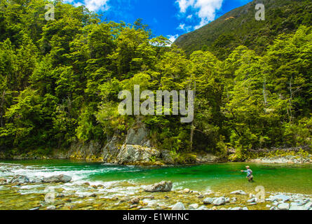 Hochland-Fluss Forellen angeln Neuseeland Stockfoto