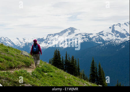 Ein Wanderer Spaziergänge entlang dem Höhenweg Hinweis in Whistler, BC. Stockfoto