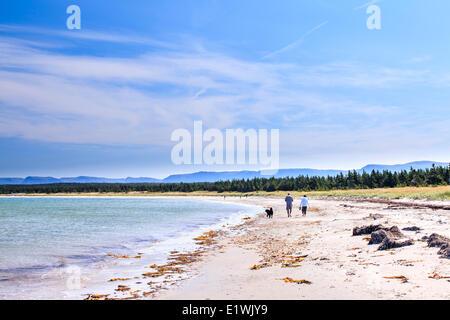 Männlich und weiblich Fuß am Strand von seichten Bucht, Gros Morne National Park, Neufundland und Labrador. Stockfoto