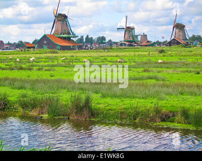 Holland; Niederlande, Geschichte Windmühlen in Zaanse Schans in der Nähe von Amsterdam Stockfoto