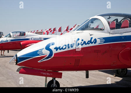 Kanadische Kräfte Snowbirds Demonstration Team und Ausrüstung wie bei Canadian Forces Day Camp Borden, Ontario, Kanada Stockfoto