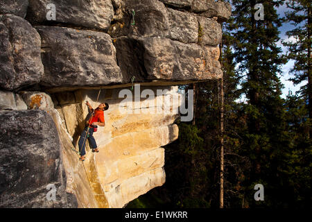 Eine starke männliche Bergsteiger funktioniert auf übernatürliche Zombie spannender Thriller 11d, Silver City, Schloss Mtn, Banff, AB Stockfoto