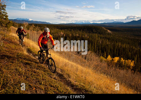 Zwei Mountainbiker genießen die Farben des Herbstes und Wanderwege in Whitehorse, Yukon Stockfoto