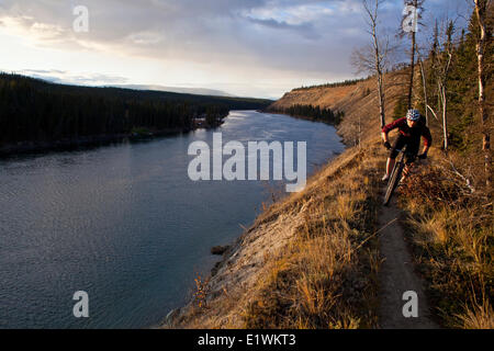 Eine männliche Mountainbiker genießen Sie perfekte Herbstwetter und Singletrails in Whitehorse, Yukon Stockfoto