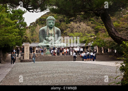 Befindet sich auf dem Gelände des Kotokuin-Tempels, der große Buddha (Daibutsu) von Kamakura steht 13,35 Meter hoch und ist der secon Stockfoto